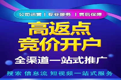 SEM推广策略：成功案例分享与启示